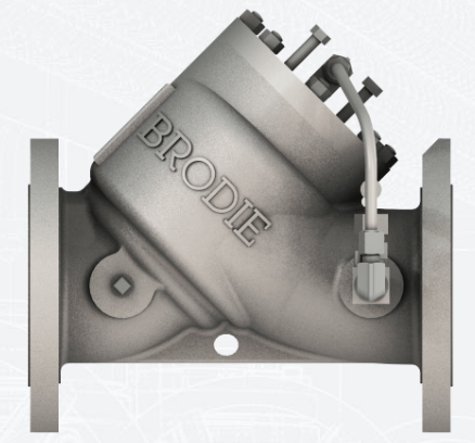 BV02 and BV03 Check Valve